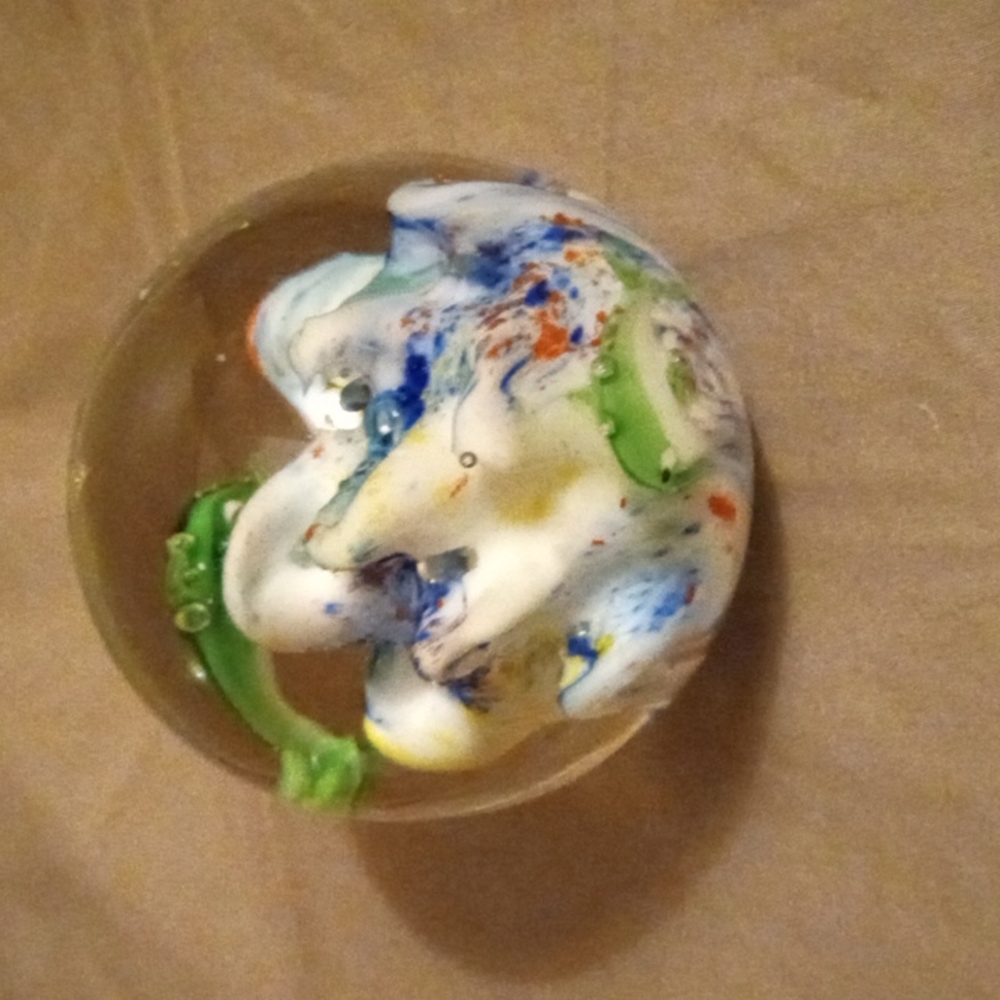 Coral reef paper weight accent
